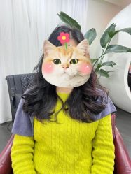 -星座接发烫染美发超市