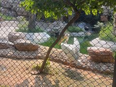 -石家庄市动物园