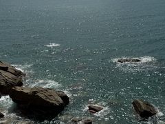 -广东惠东海龟国家级自然保护区