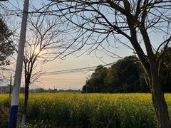 -罗坑大草原