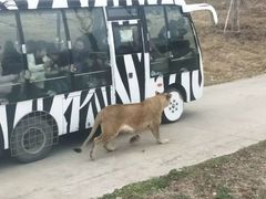 -西安秦岭野生动物园