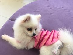 -怪兽屋·羊驼·猫咖·狗咖(俊华广场店)