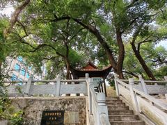 -长沙市青少年宫