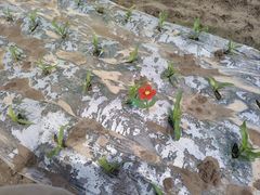 -源香农宝·亲子采摘·钓虾·科普研学