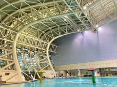 -广西体育中心-游泳馆