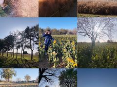 -汉长安城未央宫国家考古遗址公园