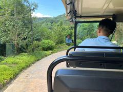 -杭州开元森泊度假乐园