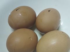 -小吴先生的店·东北烧烤(林科大店)
