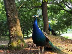 -东钱湖旅游度假区