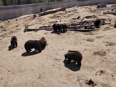 -北极村旅游风景区