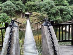 -九鲤湖风景区