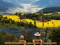 -婺源风景区