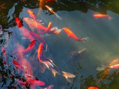 -韶山毛泽东同志故居