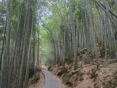 -黄山翡翠谷景区