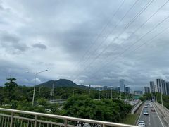 -何记花甲(海岸城旗舰店)