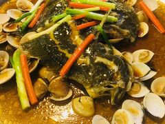 多宝鱼和白贝-洞密园美食城·二十二年老店(富华路店)