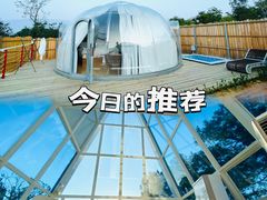 -南丹山森林王国