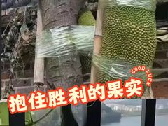 -松岗(地铁站)