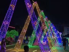 -广西壮族自治区药用植物园