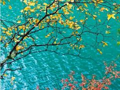 -叠溪松坪沟景区