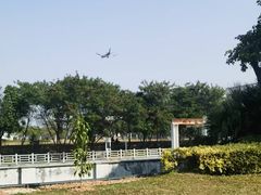 -宝安西湾红树林湿地公园