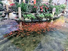 -鸿通城购物中心