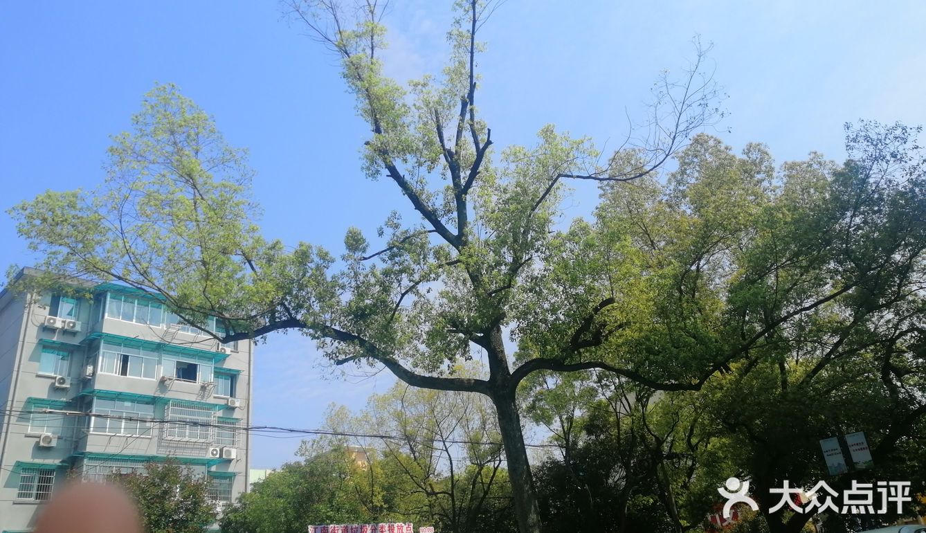 空气中散发得淡淡的青草味！大家在外面玩还是挺多的！