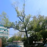 空气中散发得淡淡的青草味！大家在外面玩还是挺多的！