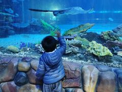 -华夏文旅海洋公园