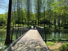 -尚贤河湿地