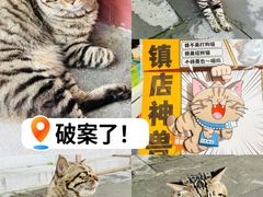 -正阳书局(西四南大街店)
