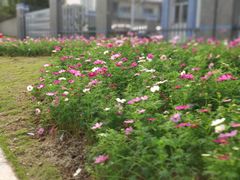 -飞翔公园(地铁站)