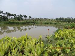 照片&nbsp;763-云湖游乐园