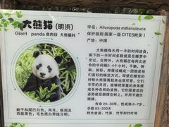 -柳州市动物园
