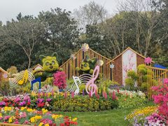 -上海共青森林公园