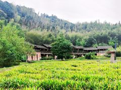 -常德桃花源景区