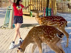 -水上乐园·欢乐世界