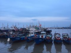 -沈家门海鲜夜排档(东港店)