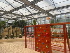 -南宫五洲植物乐园