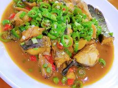 -全乐鱼馆·淳牌有机鱼直营店