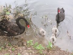 -长兴太湖图影湿地文化园