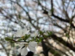 -长春公园(普阳街道)