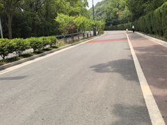 -平湖九龙山旅游度假区