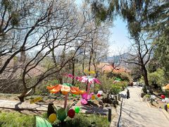 -烟台山景区
