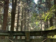 -上色见熊野座神社