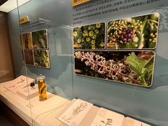 -天津自然博物馆