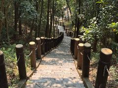 -田心森林公园