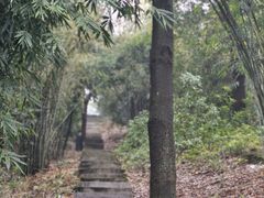 -潜山国家森林公园