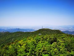 -清溪森林公园