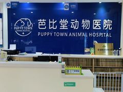 -芭比堂动物医院·24小时·眼科中心(深圳中心)